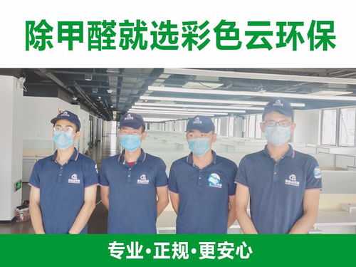 合肥除甲醛公司与教育咨询服务 跨界融合，守护健康学习空间