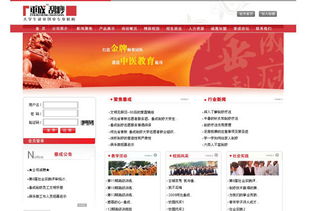 河北垂成教育咨询服务 专业引领，助力教育梦想