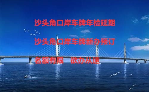 深耕粤港湾，放心教育代办理注册就找凤城服务——专访广东粤港澳教育咨询公司